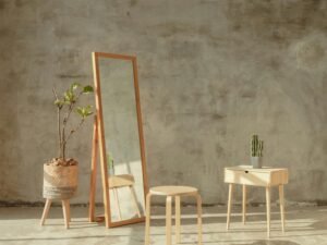 Reverse Withdrawal Payment